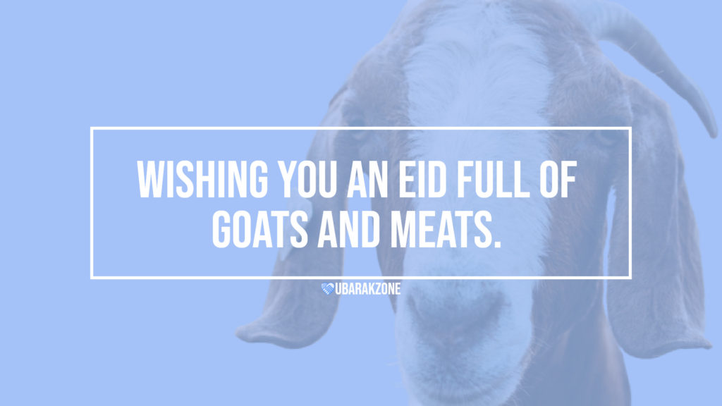 bakra eid mubarak wishes messages - 04