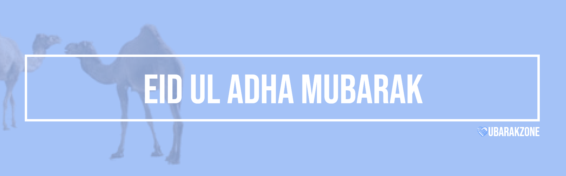 eid ul adha mubarak wishes messages